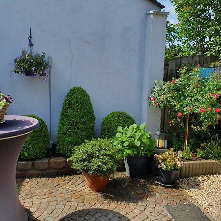 B&B Carpe Diem Eijsden Zewnętrze zdjęcie
